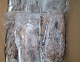 MỰC LÁ VIỆT NAM SIZE 500UP IQF ĐỦ KG