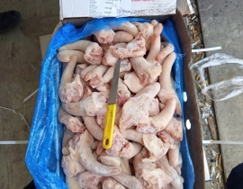 Đuôi heo tonnis
