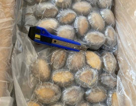 BÀO NGƯ NGUYÊN CON (THÙNG TRẮNG XANH)