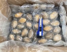 BÀO NGƯ NGUYÊN CON (THÙNG TRẮNG XANH)