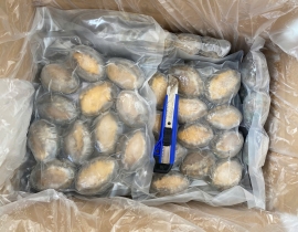 BÀO NGƯ NGUYÊN CON (THÙNG TRẮNG XANH)