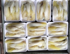 TRỨNG MỰC