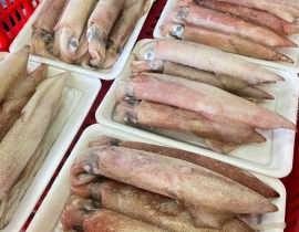 MỰC ỐNG MINO 10-12 CON / KG