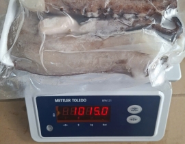 RÂU MỰC TƯƠI ĐẠI DƯƠNG VỈ 1KG N8 (ĐÃ BAO GỒM MẠ BĂNG)