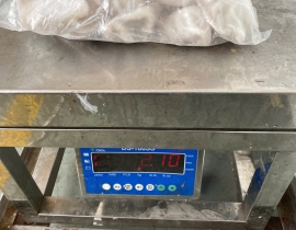 BẠCH TUỘC 10-20 TÚI 2KG N7 (ĐÃ BAO GỒM MẠ BĂNG)