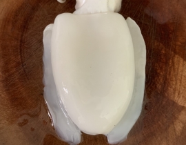 MỰC NANG LÀM SẠCH SIZE 200-500G NET 7