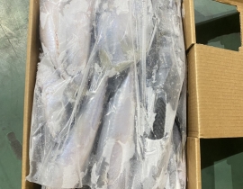 CÁ SABA ĐÀI LOAN  SIZE 400-600