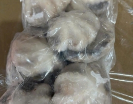BẠCH TUỘC 2 DA SIZE 100-200G TÚI 2KG NET 7