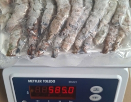 Nõn tôm sú loại 1