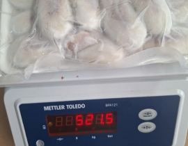 TRỨNG MỰC NANG VỈ 500G ĐỦ KG