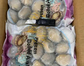 BÀO NGƯ NGUYÊN CON (THÙNG ĐEN)
