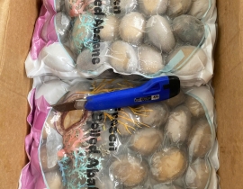 BÀO NGƯ NGUYÊN CON (THÙNG ĐEN)