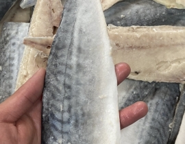 CÁ SABA NAUY FILLET