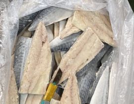 CÁ SABA NAUY FILLET
