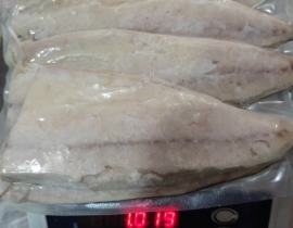 CÁ SABA NAUY FILLET