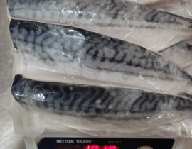 CÁ SABA NAUY FILLET