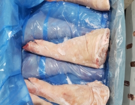 CHÂN GIÒ HEO NGUYÊN CÁI