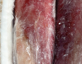 MỰC LÁ ĐẠI DƯƠNG