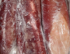 MỰC LÁ ĐẠI DƯƠNG