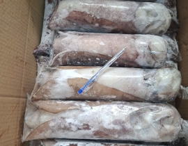 MỰC LÁ CUỘN 2A SIZE 1KG-1.2KG