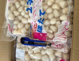 CÒI SÒ ĐIỆP 20-40 BAO HỒNG