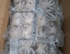 BẠCH TUỘC LÀM SẠCH SIZE 8-12 CON NET 8