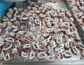 MỰC ỐNG CẮT KHOANH 2,3-3CM CÒN DA