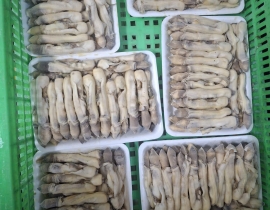 THỊT ỐC MÓNG TAY KHAY 500G ĐỦ KG