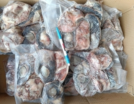MẮT CÁ NGỪ LOẠI 1
