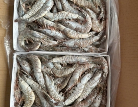 TÔM THẺ NGUYÊN CON SIZE 31/35