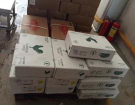 ĐÙI TỎI LỚN SANDERSON THÙNG TRẮNG 15 KG