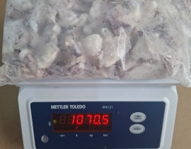 MỰC ỐNG CẮT KHOANH CÒN DA TÚI 1KG N9 (ĐÃ BAO GỒM MẠ BĂNG)
