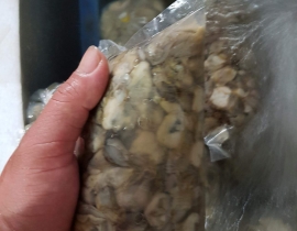 Hào Sữa Đóng Bịch