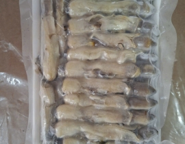 THỊT ỐC MÓNG TAY KHAY 500G ĐỦ KG