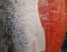 CÁ HỒI ATLANTIC FILLET  1/2 CON