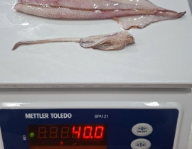 MỰC TRỨNG 15UP LÀM SẠCH TÚI 5KG ĐỦ KG