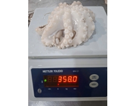 BẠCH TUỘC 2 DA 200G UP TÚI 2KG 6 - 7 CON NET 7