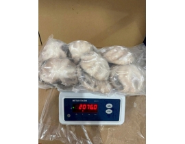 BẠCH TUỘC 2 DA SIZE 100-200G TÚI 2KG NET 7