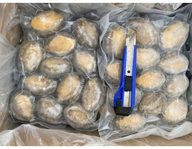BÀO NGƯ NGUYÊN CON (THÙNG TRẮNG XANH)