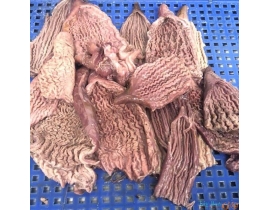 BAO TỬ CÁ NGỪ LÀM SẠCH