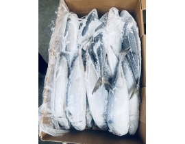 CÁ SABA ĐÀI LOAN 400-600G