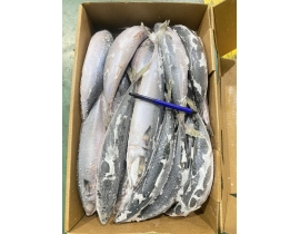 CÁ SABA ĐÀI LOAN  SIZE 400-600
