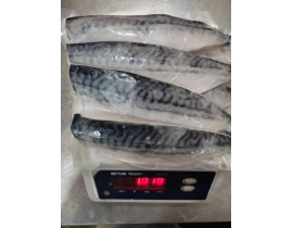 CÁ SABA NAUY FILLET