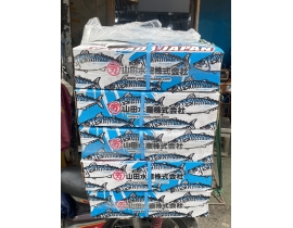 CÁ SABA NHẬT 500-800G HIỆU YAMADA 15KG