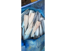 CÁ SABA NAUY FILLET ( THU NHẬT FILLET )