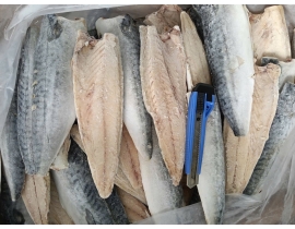 Cá sapa nauy fillet