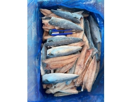 CÁ SAPA NHẬT FILLET CÒN KAMA 