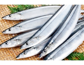 Cá Thu Nhật ( THU ĐAO )