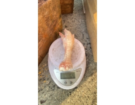 CHÂN GÀ LỚN 50G UP HÀNG LỰA