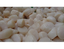 CỒI SÒ ĐIỆP - BAO TRẮNG